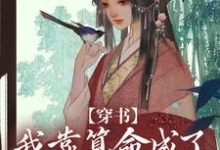 穿书：我靠算命成了修真界万人迷免费阅读，穿书：我靠算命成了修真界万人迷章节目录-经典文学
