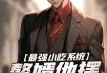 小说《最强小吃系统：赘婿他摆小吃摊了！》章节阅读-经典文学