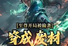 已完结小说《至尊开局被偷袭，穿成废材又如何？》章节在线阅读-经典文学