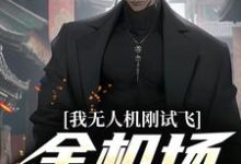 《我无人机刚试飞，全机场就恐慌》小说章节在线试读，《我无人机刚试飞，全机场就恐慌》最新章节目录-经典文学
