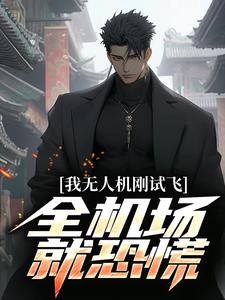 《我无人机刚试飞，全机场就恐慌》小说章节在线试读，《我无人机刚试飞，全机场就恐慌》最新章节目录