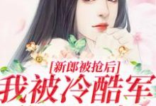 小说《新郎被抢后，我被冷酷军爷日日宠》章节免费阅读-经典文学