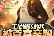 求工地搬砖的我,被首富亲妈找回家小说的全文免费阅读链接-经典文学