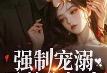 强制宠溺，霸总你轻点！小说，强制宠溺，霸总你轻点！章节在线阅读-经典文学