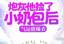 小说《炮灰他捡了小奶包后,气运值爆表》章节阅读-经典文学