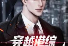 穿越港综,我成了黑二代免费阅读,穿越港综,我成了黑二代李峰-经典文学