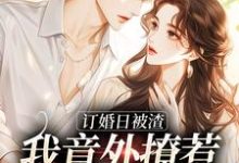 哪里可以免费找到被未婚夫放鸽子后，我嫁给了京圈太子？-经典文学