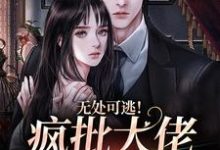 无处可逃！疯批大佬强制爱小说全文哪里可以免费看？-经典文学