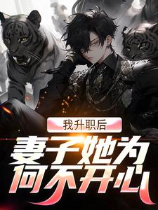 我升职后，妻子她为何不开心？小说的无弹窗阅读体验，寻找免费阅读网站