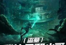 盗墓:我让无邪小哥躺着过卸岭张夜,盗墓:我让无邪小哥躺着过卸岭在线无弹窗阅读-经典文学