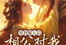 《奉旨嫁人后，相公对我爱不释手》小说林思棠北辰砚章节章节免费在线阅读-经典文学