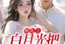 小说《婚礼上，白月光把男友截胡了》在线章节阅读-经典文学