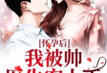 《怀孕后,我被帅医生宠上天》小说宋耀之竺语语章节章节免费在线阅读-经典文学