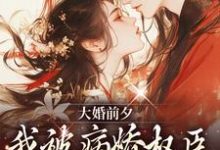 大婚前夕，我被病娇权臣强取豪夺了最新章节，大婚前夕，我被病娇权臣强取豪夺了免费阅读-经典文学