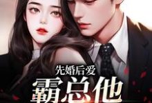 先婚后爱：霸总他总在追妻小说的免费阅读版本在哪里可以找到？-经典文学