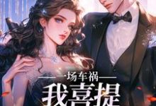 寻找能够免费阅读一场车祸，我喜提妻女一双？小说的平台-经典文学