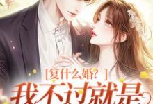 许听雨祁时风小说《复什么婚?我不过就是个备胎嘛!》在线阅读-经典文学
