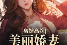 免费看离婚高嫁：美丽娇妻哪里逃小说的网站有哪些？-经典文学