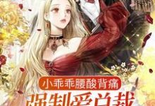 小乖乖腰酸背痛,强制爱总裁是疯批(孟霁陆野)在线免费阅读-经典文学