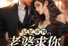 记忆审判：老婆求你看我一眼免费阅读，记忆审判：老婆求你看我一眼林冉傅行简-经典文学