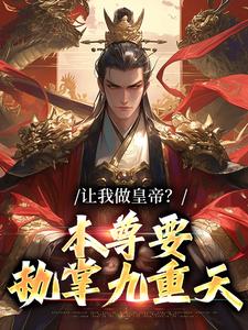 秦风小说让我做皇帝？本尊要执掌九重天章节免费阅读