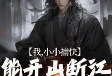 宋阳小说完结版在线阅读，我，小小捕快，能开山断江很合理吧免费看-经典文学
