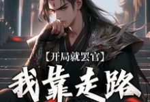 开局就罢官，我靠走路就能变强这本小说在哪里可以看？哪里有免费试读章节？-经典文学
