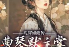 魂穿如懿传，曹琴默主掌后宫大权小说有没有完整的免费版本在线阅读？-经典文学