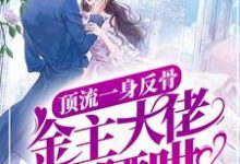 顶流一身反骨，金主大佬缠腰哄小说完结版章节免费阅读-经典文学