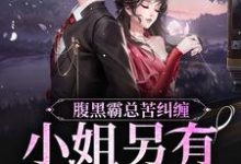 腹黑霸总苦纠缠,小姐另有心上人这本小说怎么样?免费在线阅读试试-经典文学