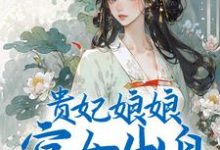 贵妃娘娘宫女出身，皇上偏宠着小说完结了吗？在哪里可以免费读到？-经典文学