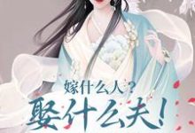 嫁什么人？娶什么夫！当然修仙啊苏绾柠叶观天小说在线章节目录阅读最新章节-经典文学