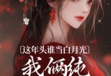 温沅李昭小说完结版在线阅读，这年头谁当白月光，我俩纯纯走剧情免费看-经典文学