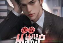 抗战：从淞沪保卫战开始免费阅读，抗战：从淞沪保卫战开始章节目录-经典文学
