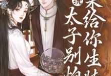 系统：太子别怕，我来给你生娃了（许锦意）在线免费阅读-经典文学