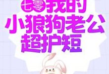 完结版《七零:我的小狼狗老公超护短》章节阅读-经典文学