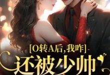 池影霍时晏小说O转A后,我咋还被少帅强取豪夺了章节免费阅读-经典文学