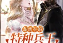 《甜蜜军婚:特种兵王宠她入骨!》小说洛芊允陆云峥章节章节免费在线阅读-经典文学