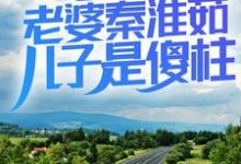 何大清傻柱小说在线章节免费阅读（情满四合院：老婆秦淮茹，儿子是傻柱无弹窗无删减）-经典文学