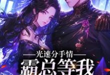 已完结小说《分手后，她嫁给了偏执总裁》最新章节-经典文学