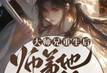 大师兄重生后，师弟他疯狂追妻小说，大师兄重生后，师弟他疯狂追妻言烬断未酌-经典文学