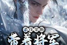 叶枭小说完结版在线阅读，杀伐果断：带着将军抢皇位免费看-经典文学