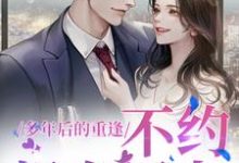已完结小说《多年后的重逢，不约，姐有男友》在线章节阅读-经典文学