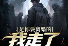 是你要离婚的，我走了你又哭？小说，是你要离婚的，我走了你又哭？在线阅读-经典文学