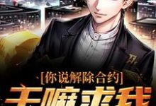 已完结小说《你说解除合约，干嘛求我回去》在线章节阅读-经典文学