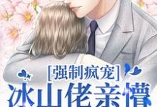 强制疯宠，冰山佬亲懵娇软野玫瑰小说的无弹窗阅读体验，寻找免费阅读网站-经典文学