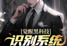觉醒黑科技识别系统，鹰酱天塌了小说的无弹窗阅读体验，寻找免费阅读网站-经典文学