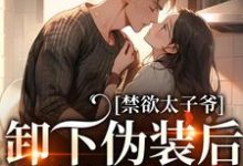 禁欲太子爷卸下伪装后，娇娇腰酸了小说全文哪里可以免费看？-经典文学
