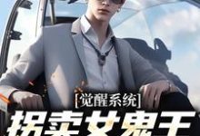 完结版《觉醒系统：拐卖女鬼王就变无敌》在线免费阅读-经典文学