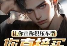 求让你宣称积压车型,你直接买脱销?小说免费资源-经典文学